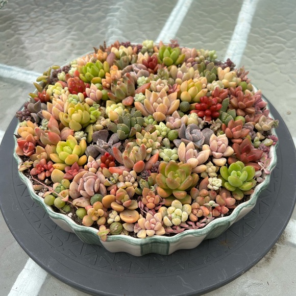 Meet your Posher, Nina - Picture 5 of 13